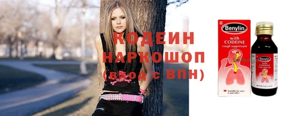 стаф Аркадак