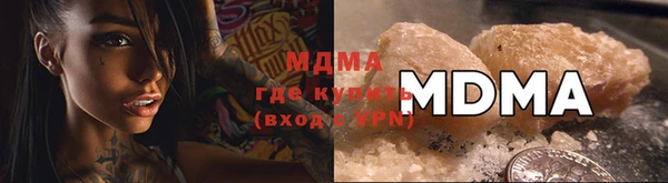 стаф Аркадак
