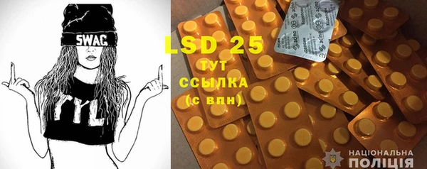 стаф Аркадак